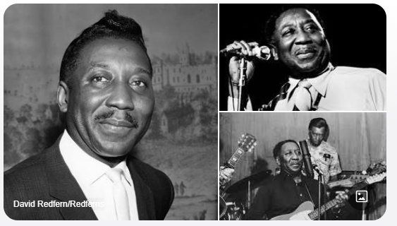 muddy waters